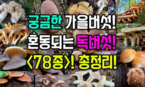 鸡蛋怎样吃最好-鸡蛋怎么吃才有营养呢网—知名的鸡蛋怎么吃营养最高网站,分享鸡蛋怎么腌最好吃知识